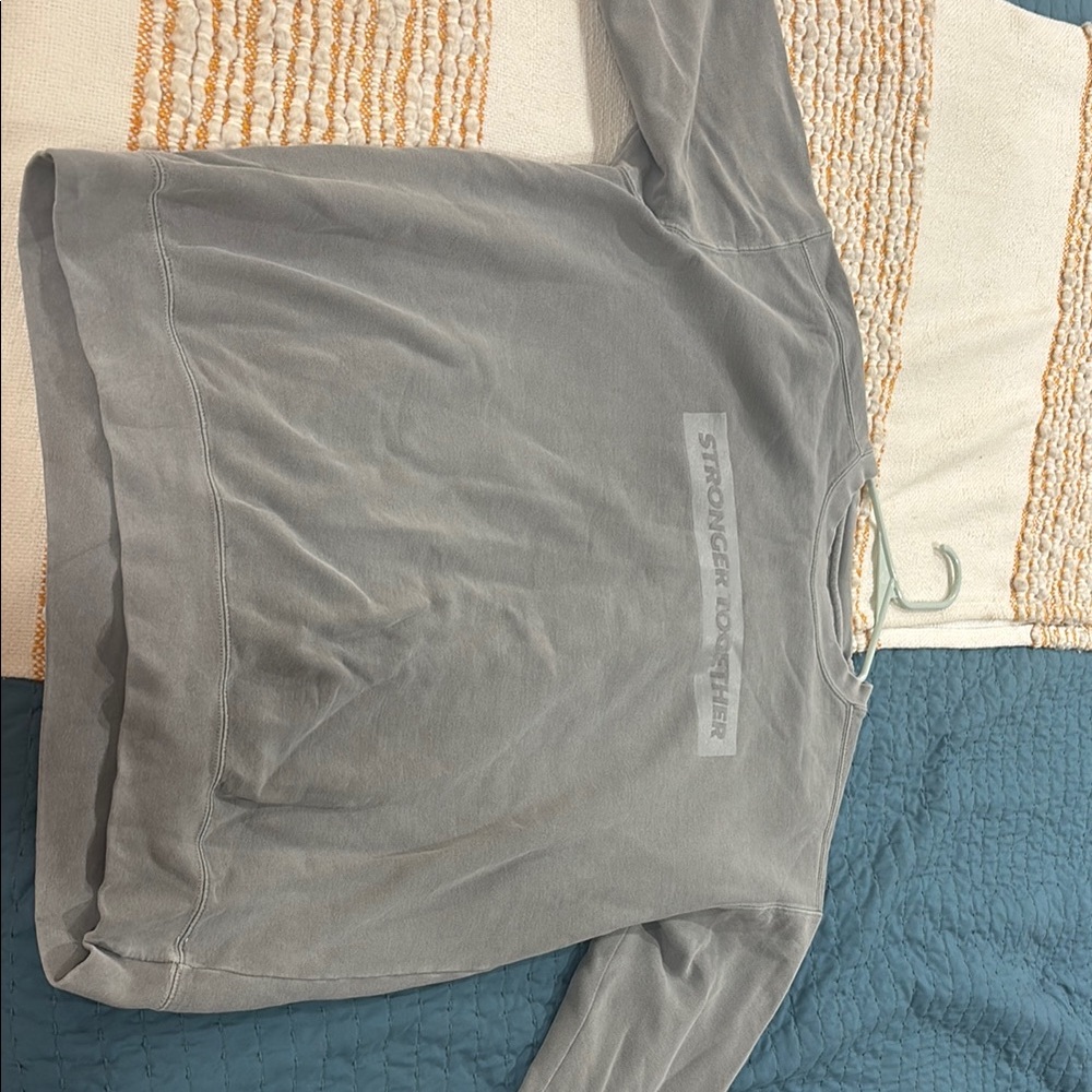 Comfort Colors Gray Sweatshirt